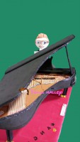 /album/angel-el-pianista/dsc-0117-logo-jpg/